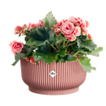 vibes fold bowl 25cm rose poudré